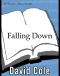 [Laura Winslow Mystery 07] • Falling Down